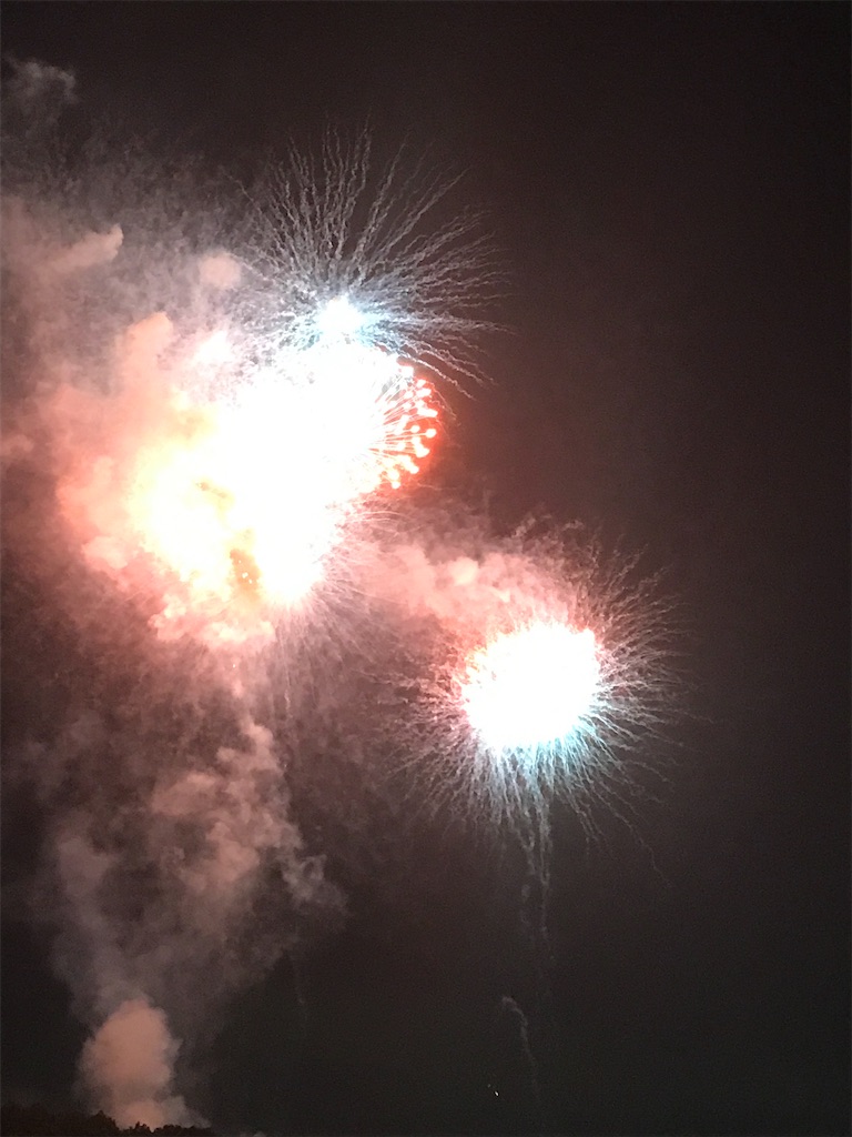 f:id:miotsukushiQ:20200629234400j:image