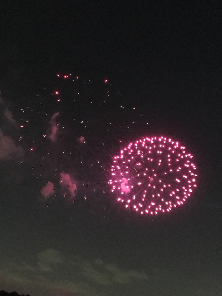 f:id:miotsukushiQ:20200629234417j:image
