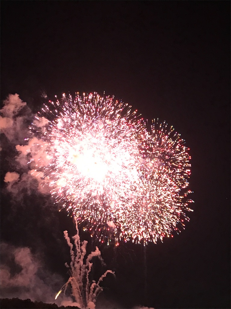 f:id:miotsukushiQ:20200629234422j:image