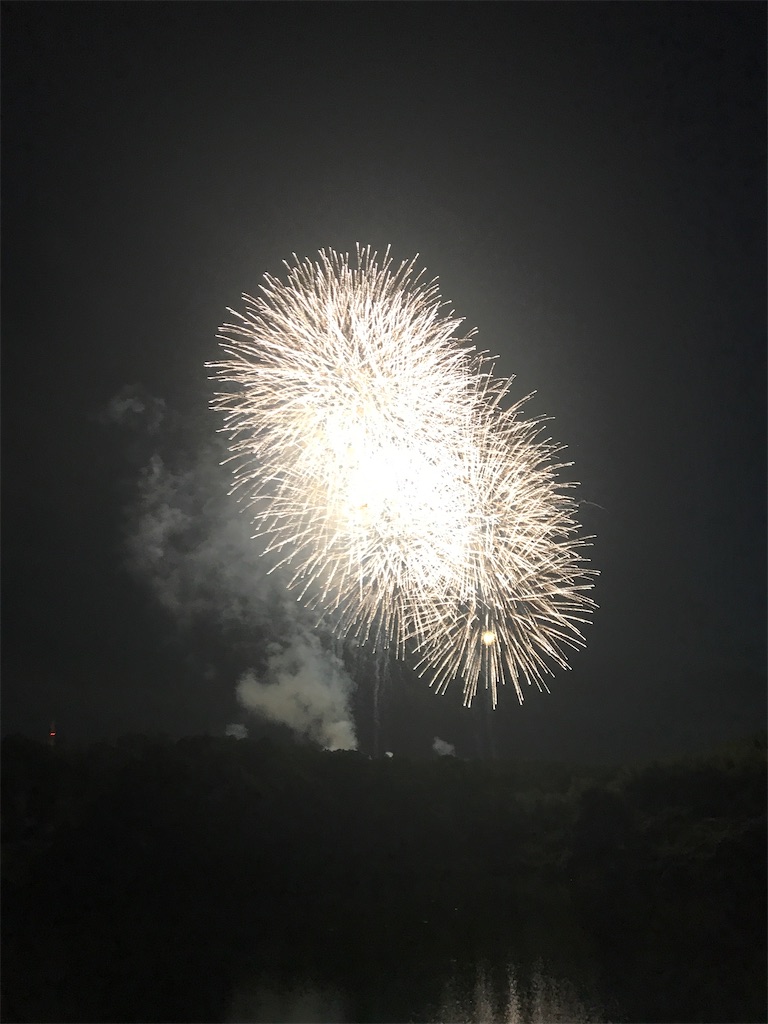 f:id:miotsukushiQ:20200629234512j:image