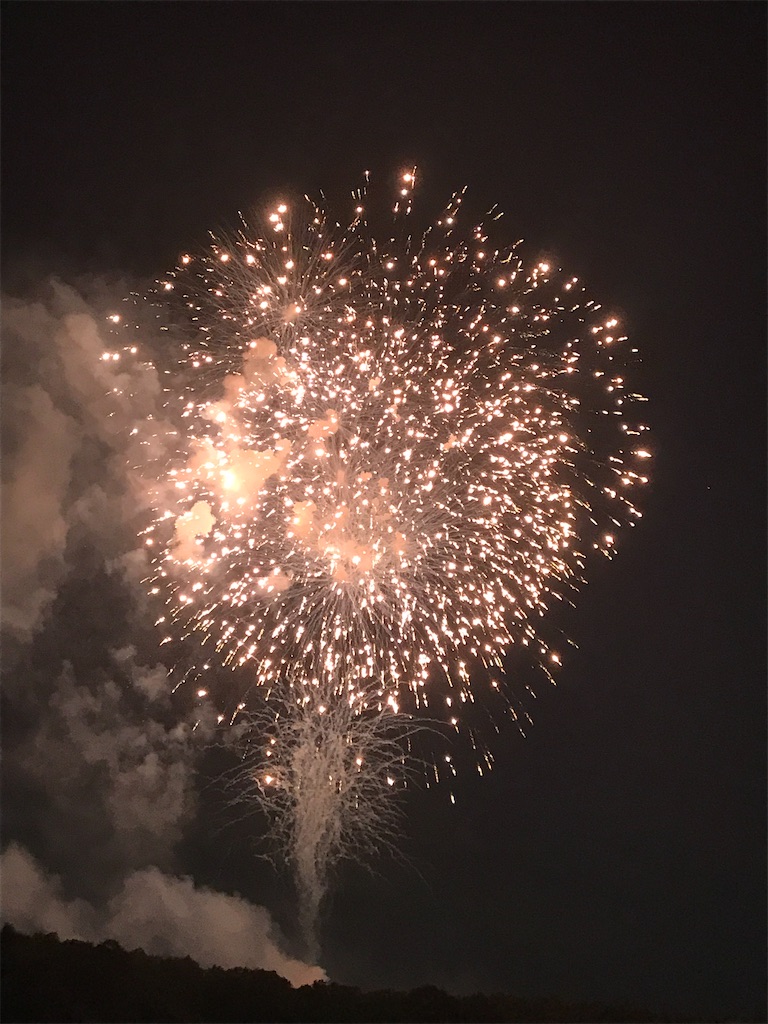 f:id:miotsukushiQ:20200629234517j:image