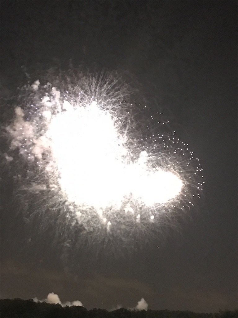 f:id:miotsukushiQ:20200629234523j:image