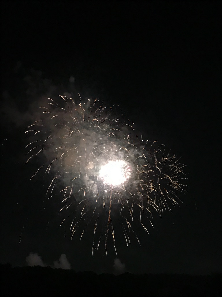 f:id:miotsukushiQ:20200629234629j:image