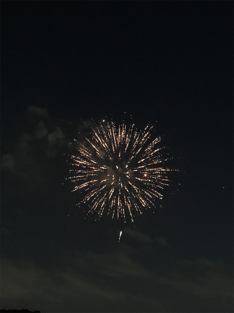 f:id:miotsukushiQ:20200629234709j:image