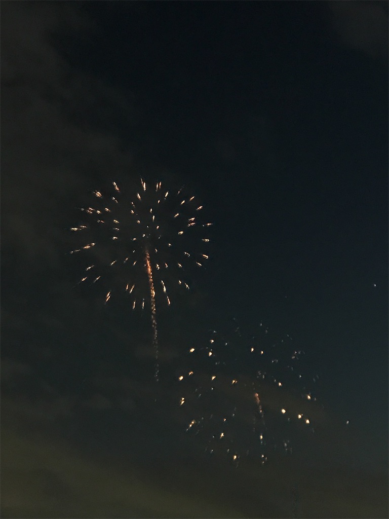f:id:miotsukushiQ:20200629234727j:image