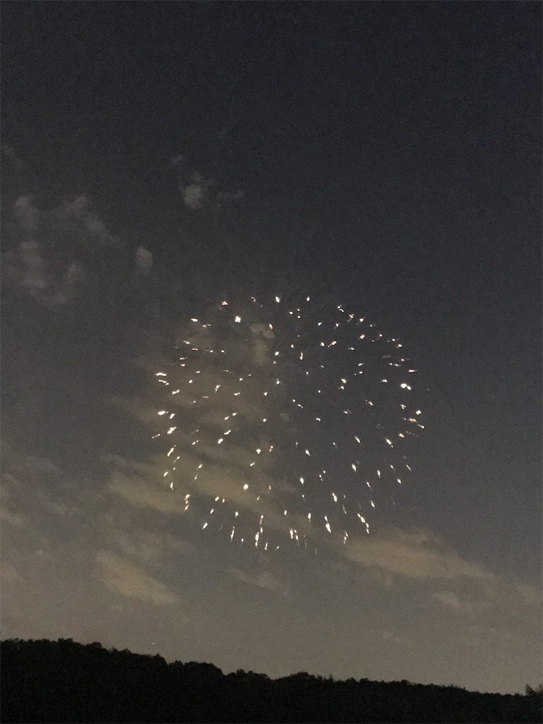 f:id:miotsukushiQ:20200629234734j:image