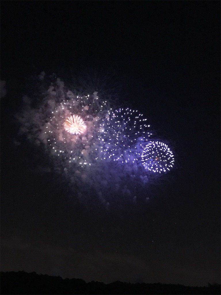 f:id:miotsukushiQ:20200629234814j:image