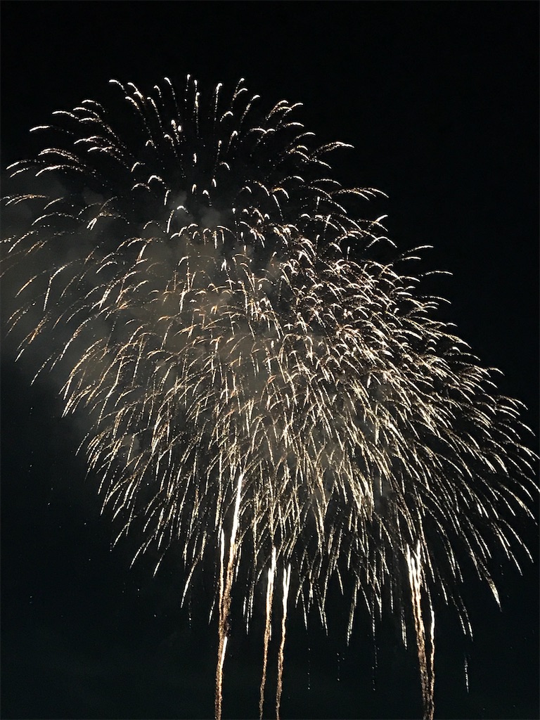 f:id:miotsukushiQ:20200629234823j:image