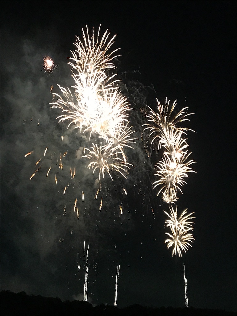f:id:miotsukushiQ:20200629234950j:image