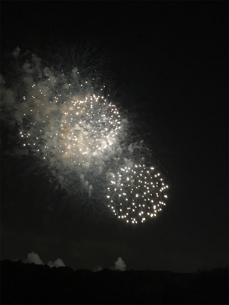 f:id:miotsukushiQ:20200629235009j:image