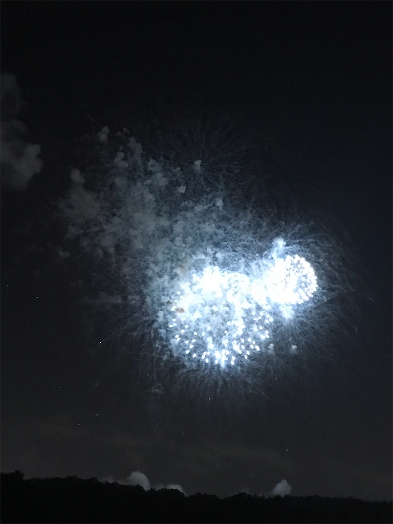 f:id:miotsukushiQ:20200629235017j:image