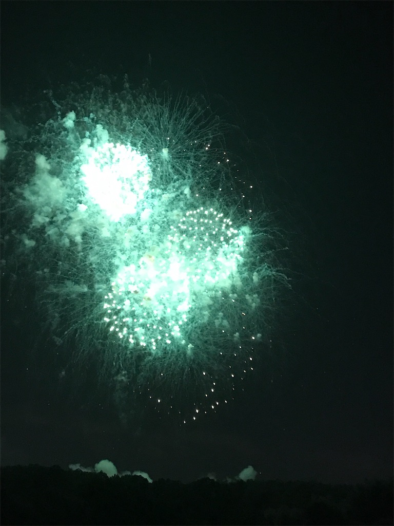 f:id:miotsukushiQ:20200629235027j:image