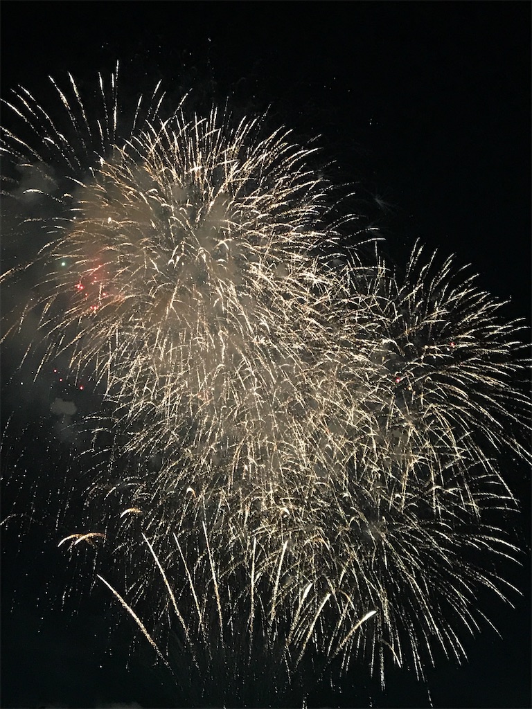 f:id:miotsukushiQ:20200629235034j:image