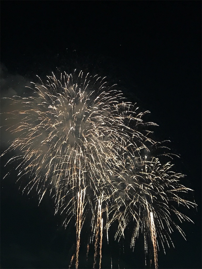 f:id:miotsukushiQ:20200629235058j:image