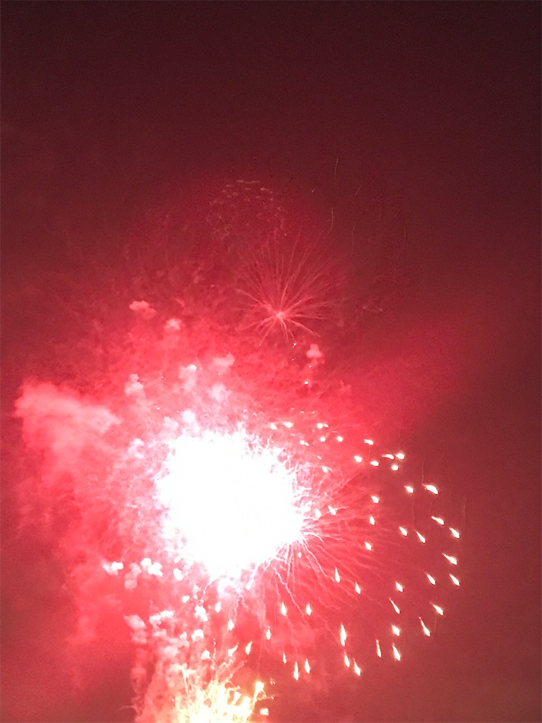 f:id:miotsukushiQ:20200629235111j:image