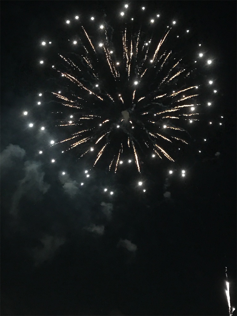 f:id:miotsukushiQ:20200629235130j:image