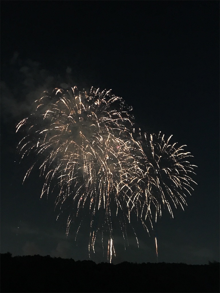 f:id:miotsukushiQ:20200629235213j:image