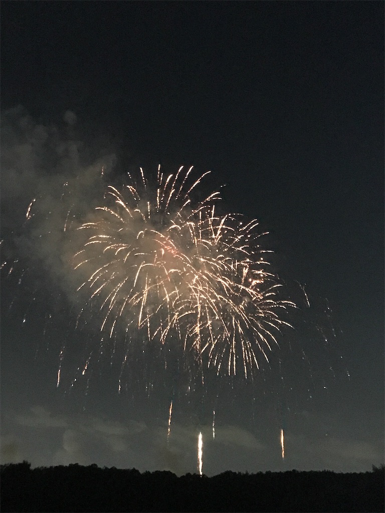 f:id:miotsukushiQ:20200629235237j:image