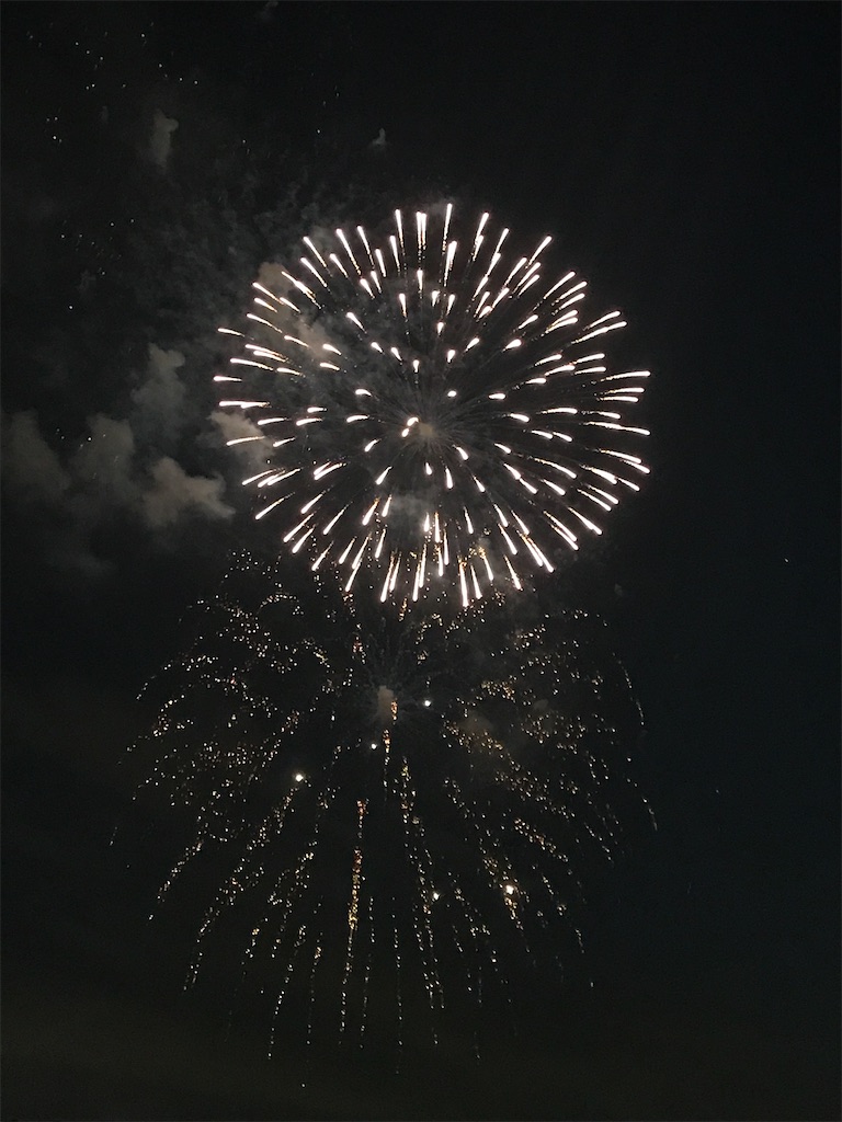 f:id:miotsukushiQ:20200629235240j:image
