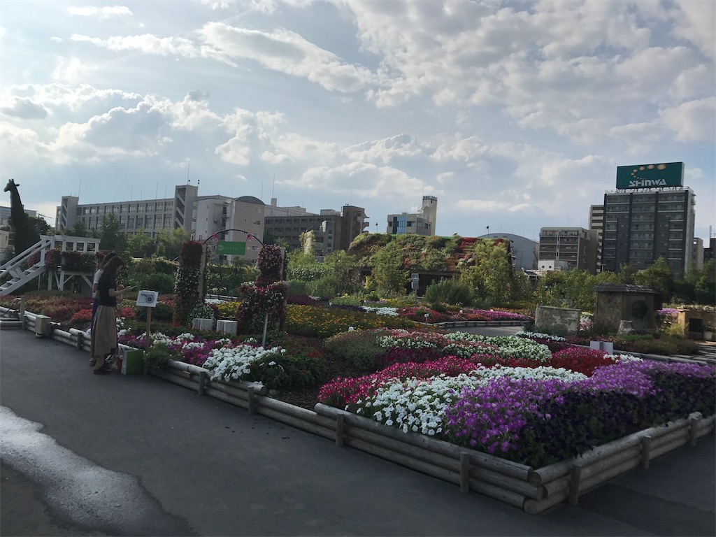 f:id:miotsukushiQ:20200706000050j:image
