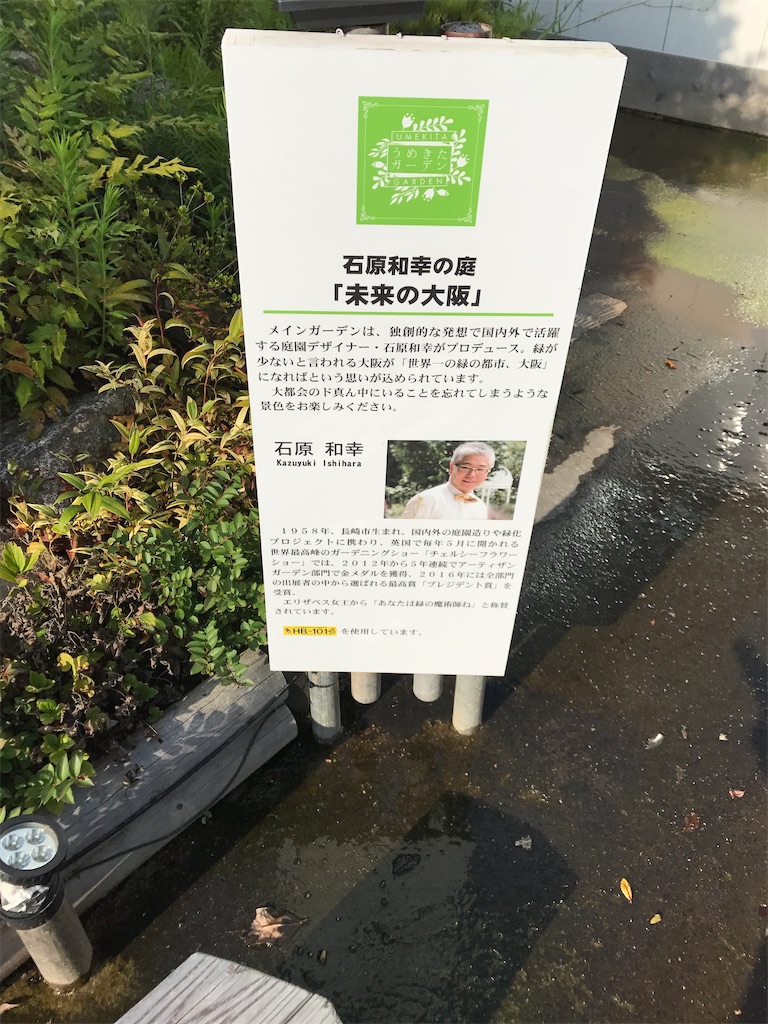 f:id:miotsukushiQ:20200706000111j:image
