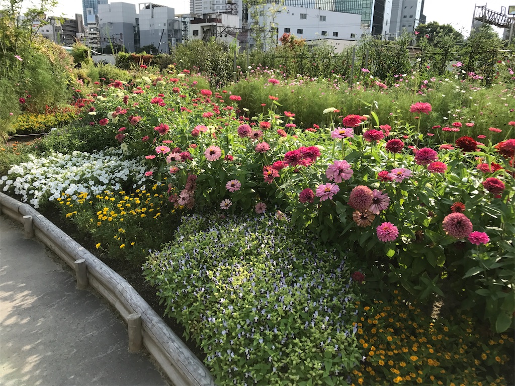f:id:miotsukushiQ:20200706000225j:image