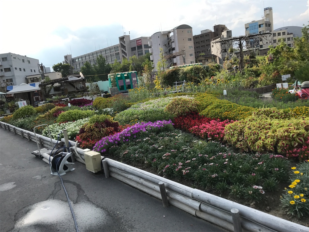f:id:miotsukushiQ:20200706000304j:image