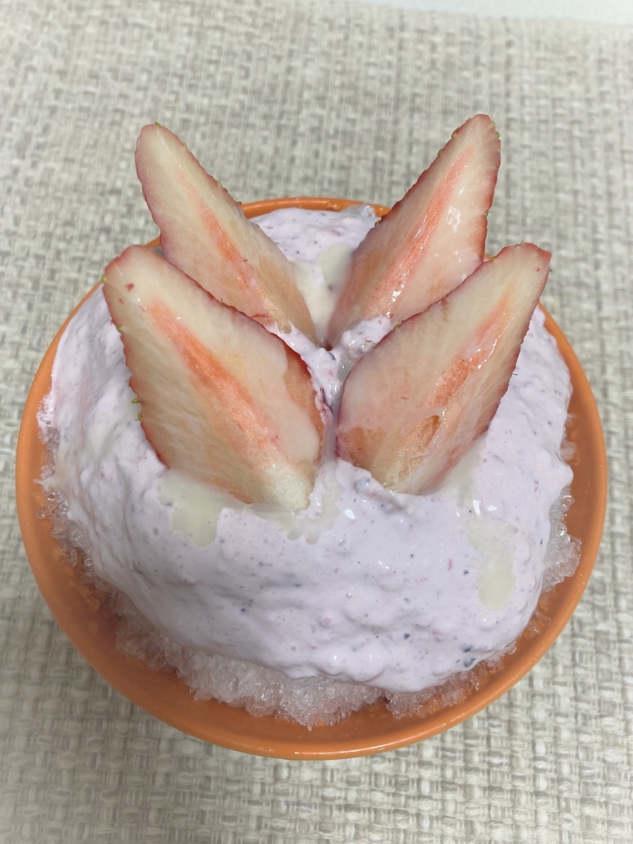 f:id:miponyan-shavedice:20220205111238j:plain