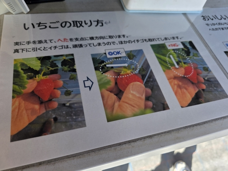 川戸ファーム①