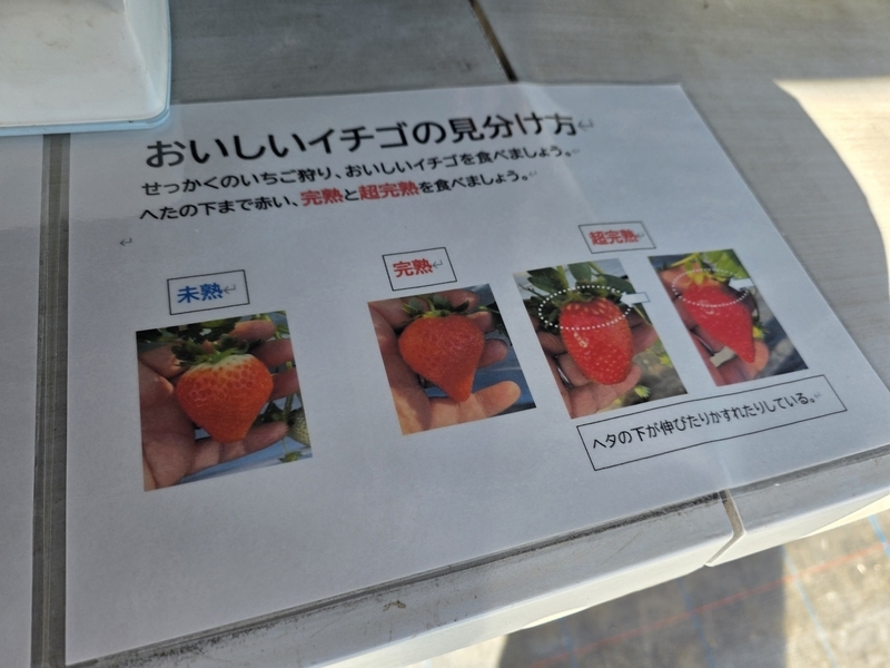 川戸ファーム②