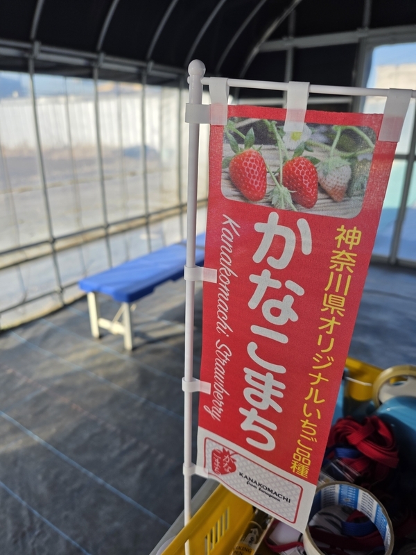 川戸ファーム④