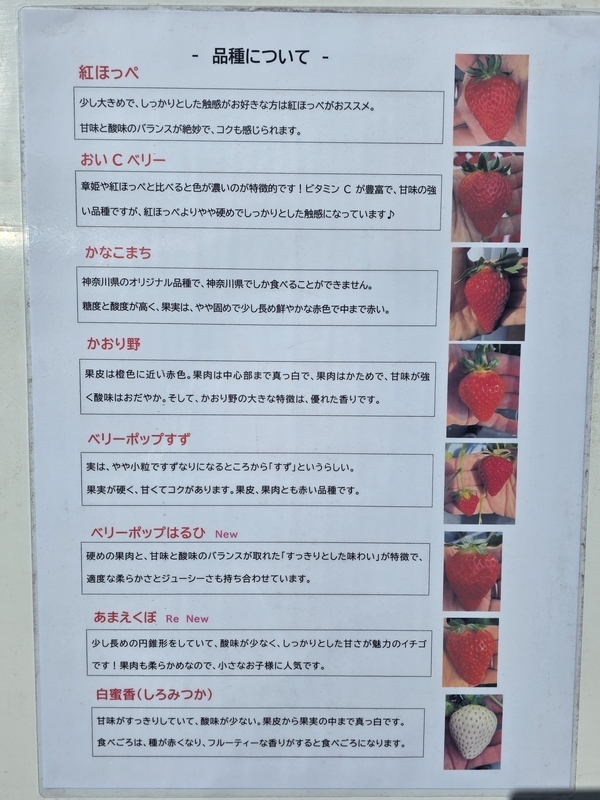 川戸ファーム③