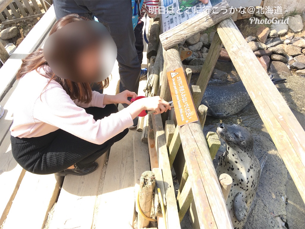 f:id:mira5507:20180512183041j:image