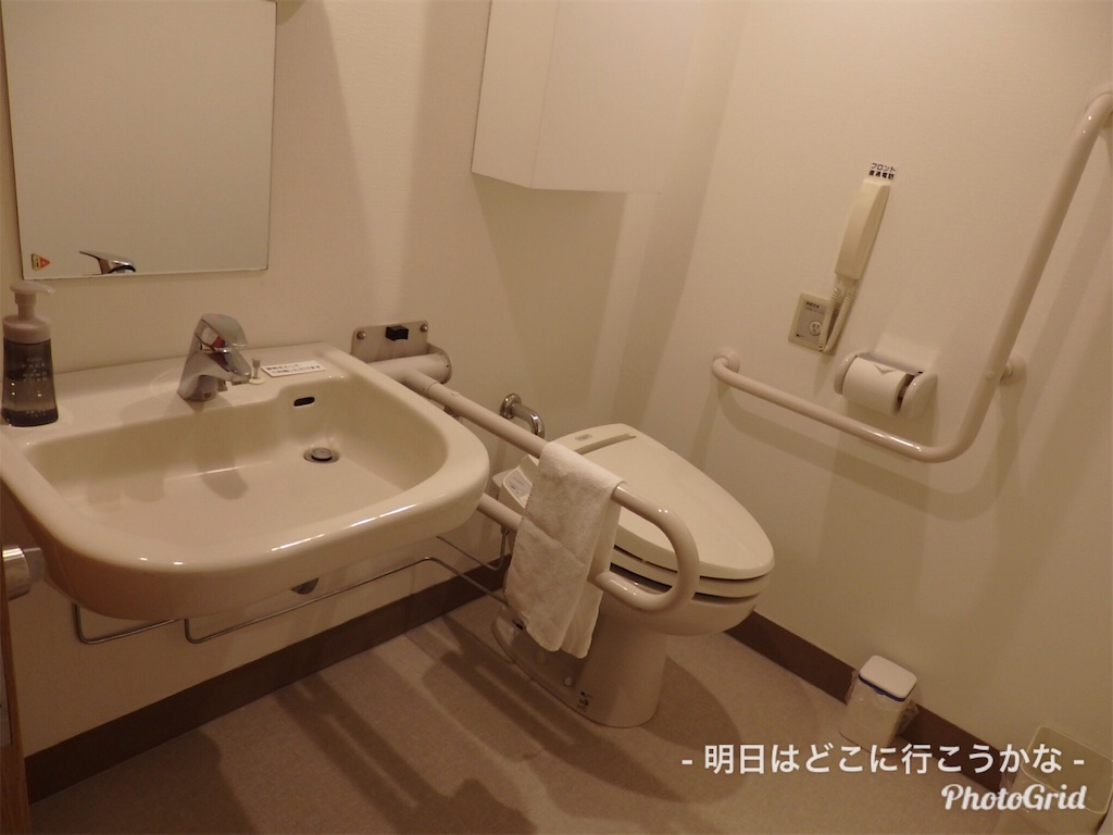 f:id:mira5507:20190322024334j:image