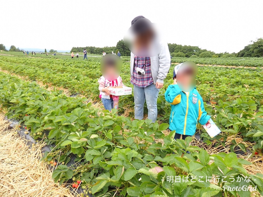 f:id:mira5507:20190420205136j:image