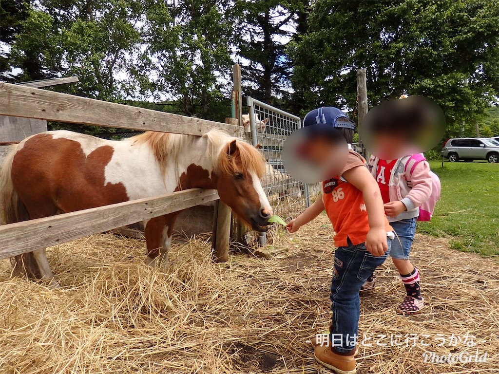 f:id:mira5507:20190420205420j:image