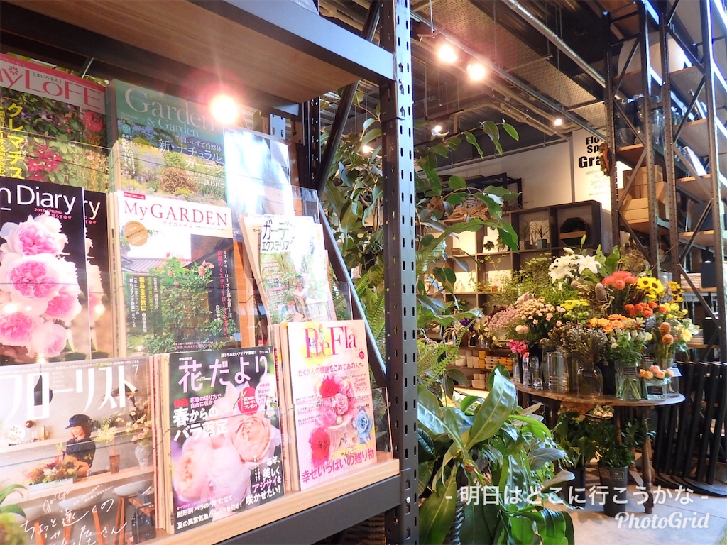 f:id:mira5507:20190622053726j:image f:id:mira5507:20190622053726j:image