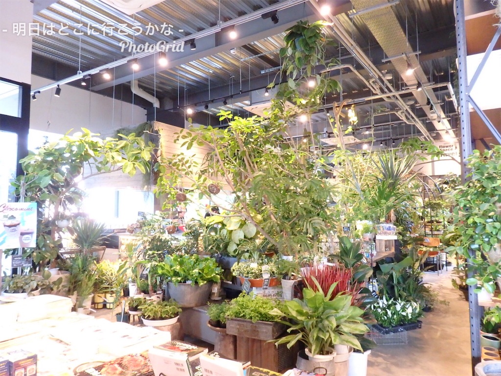 f:id:mira5507:20190622053945j:image f:id:mira5507:20190622053945j:image