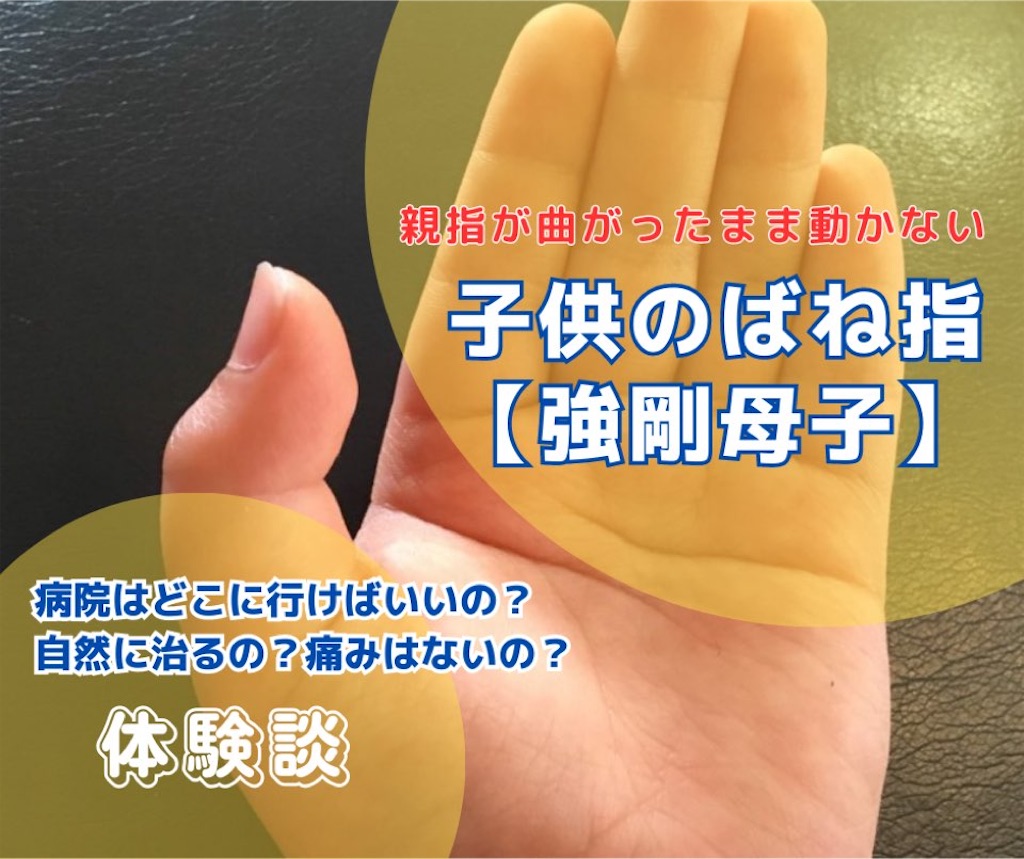 f:id:mira5507:20230622171747j:image