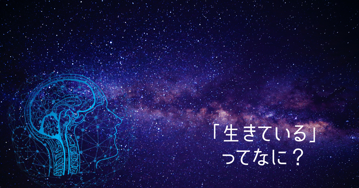 f:id:miracchi:20210604114343p:plain