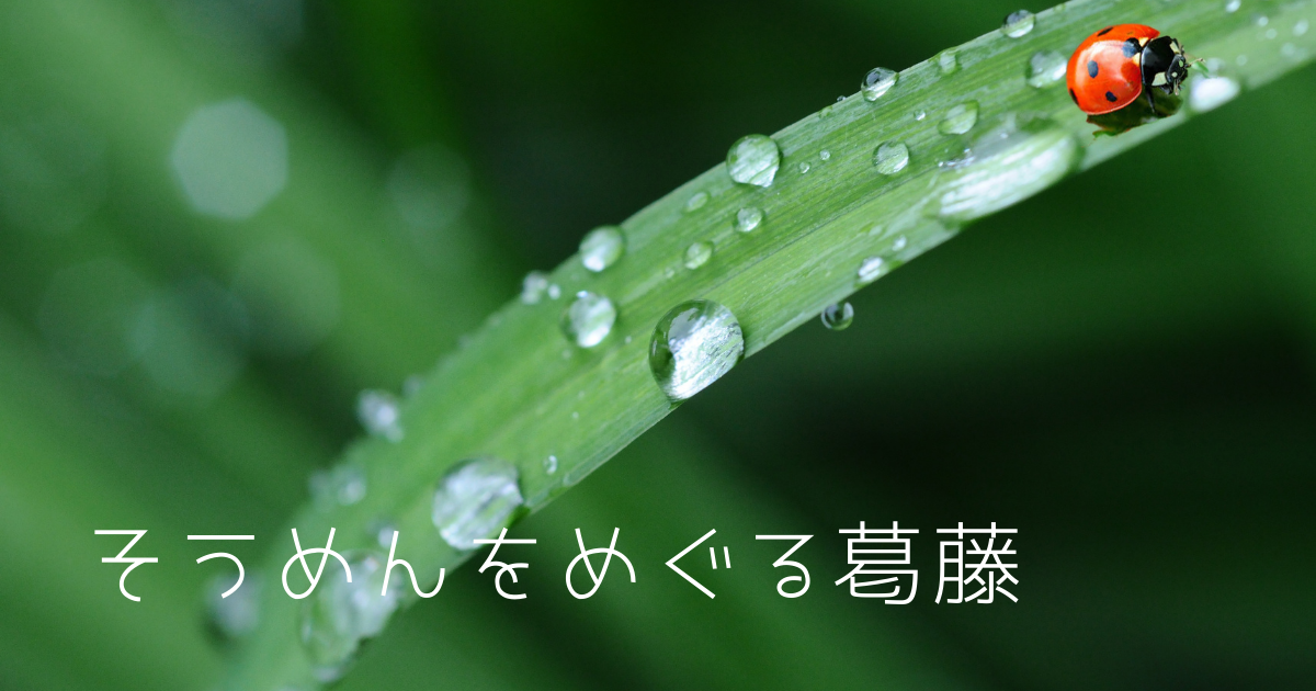 f:id:miracchi:20210606174402p:plain