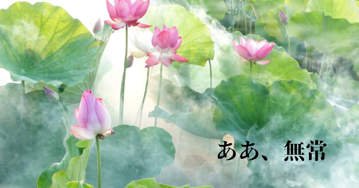 f:id:miracchi:20210722111927p:plain