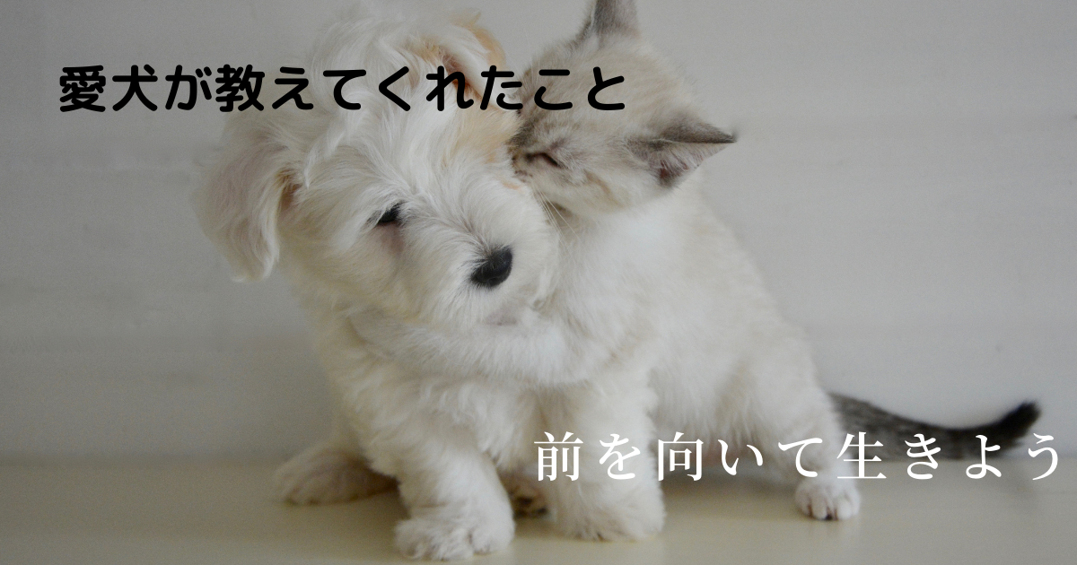 f:id:miracchi:20210723104059p:plain