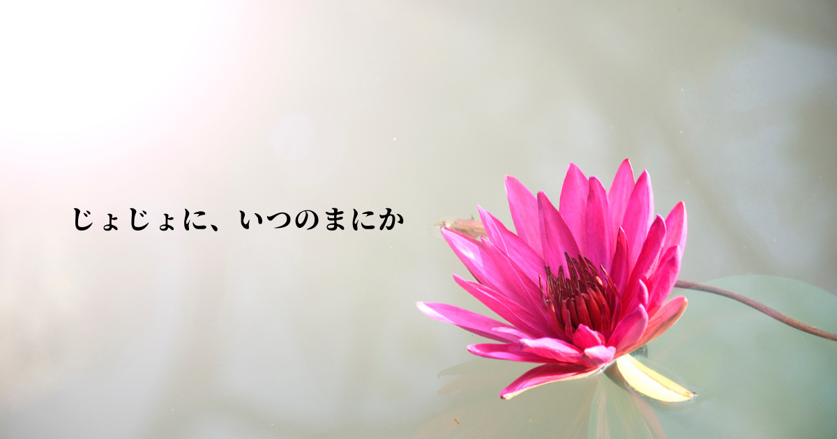 f:id:miracchi:20210814134026p:plain