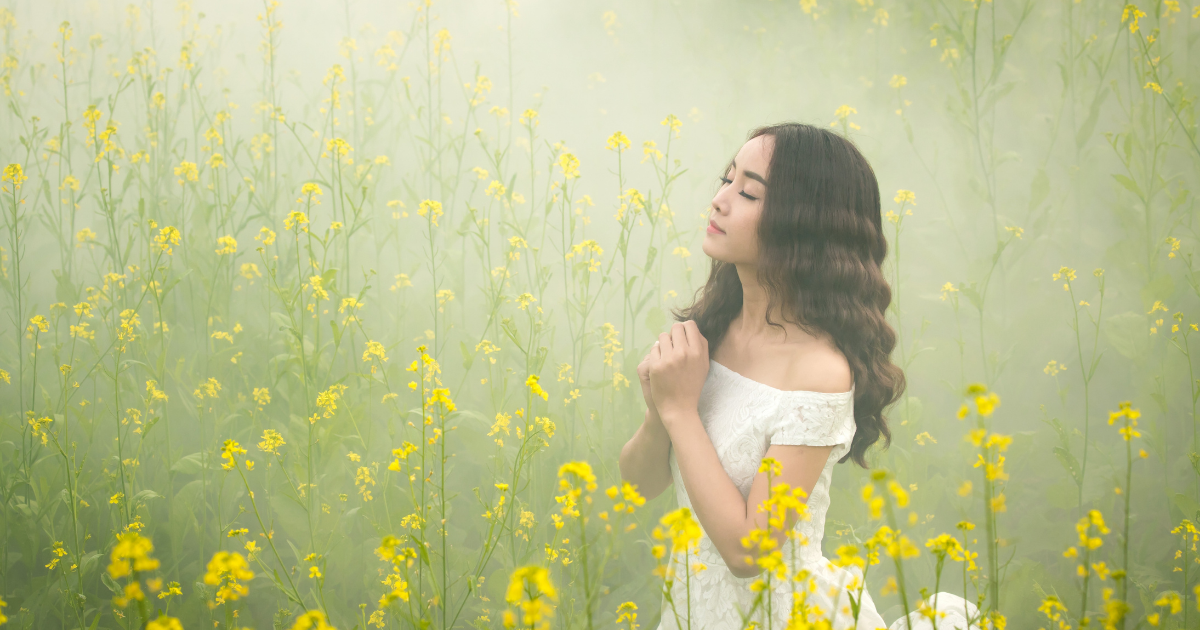 f:id:miracchi:20211128213719p:plain