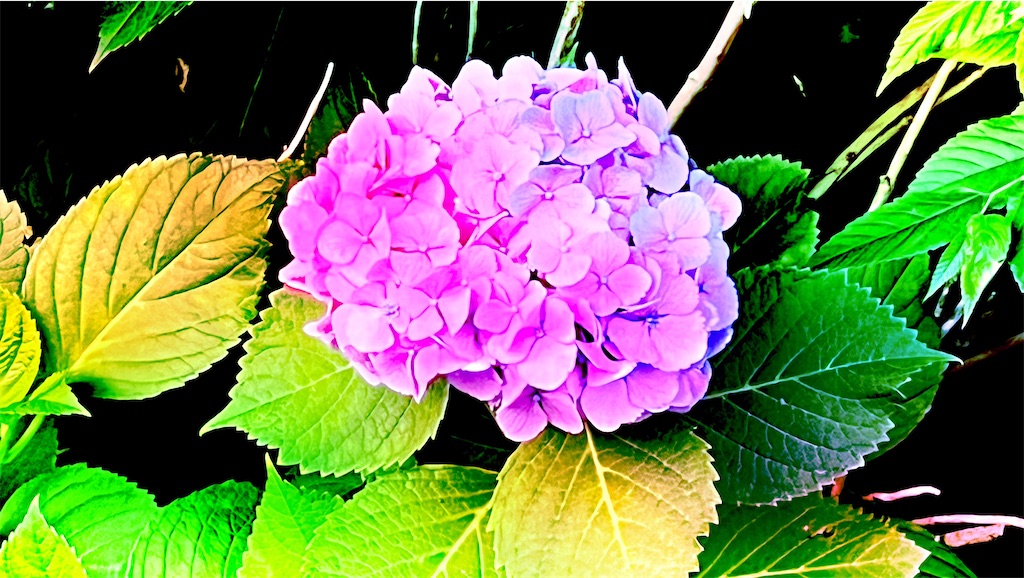 f:id:mirachannn:20250619235545j:image f:id:mirachannn:20250619235545j:image