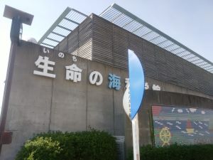 f:id:miracle-magic:20191106220802j:plain