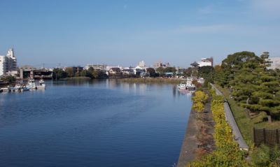 f:id:miracle-magic:20191117203816j:plain f:id:miracle-magic:20191117203816j:plain