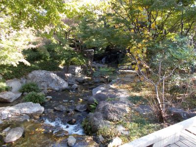 f:id:miracle-magic:20191117210846j:plain f:id:miracle-magic:20191117210846j:plain