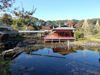 f:id:miracle-magic:20191117210943j:plain f:id:miracle-magic:20191117210943j:plain